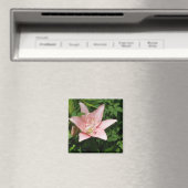 Pink Lily Magnet (In Situ (Geschirrspüler))