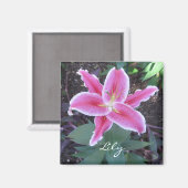 Pink Lily Magnet (Vorderseite/Rückseite)