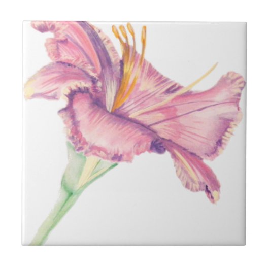 Pink Lily Oaster Blume Picture Tile Fliese (Vorderseite)