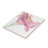 Pink Lily Oaster Blume Picture Tile Fliese (Seite)
