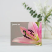 Pink Lily Postcard Postkarte (Stehend Vorderseite)
