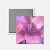 Pink Lily Refridgerator Magnet (Vorderseite/Rückseite)