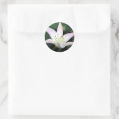 Pink Lily Runder Aufkleber (Tasche)
