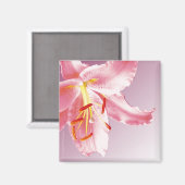 PINK LILY Sq Magnet (Vorderseite/Rückseite)