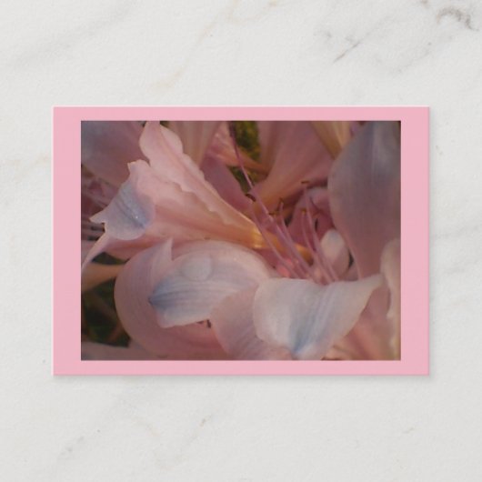 Pink Lily Visitenkarte (Vorderseite)