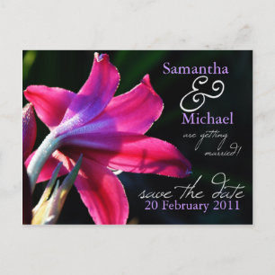 Pink Lily Wedding Save the Date Postcard Ankündigungspostkarte