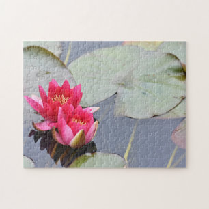 Pink Lilypad Lily Blume Natur Fotografy Garden Puzzle