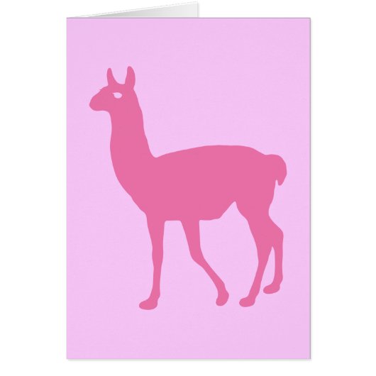Pink Llama (Vorne)