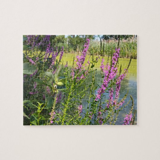 Pink Loosestrifes Puzzle (Horizontal)