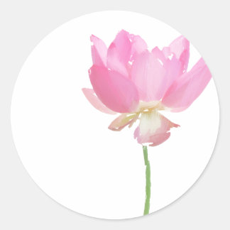 Pink-Lotus-Aufkleber Runder Aufkleber