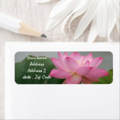 Pink Lotus Blossom (Insitu)