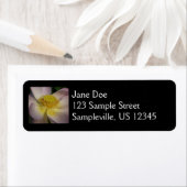 Pink Lotus Blume I Summer Floral (Insitu)