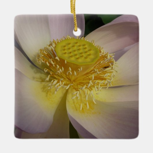 Pink Lotus Blume I Summer Floral Keramikornament (Vorderseite)