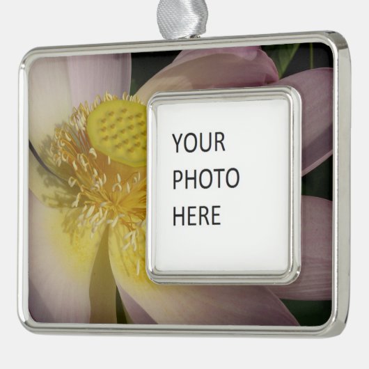 Pink Lotus Blume I Summer Floral Rahmen-Ornament Silber (Links)