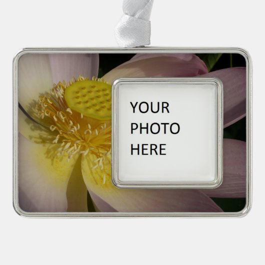 Pink Lotus Blume I Summer Floral Rahmen-Ornament Silber (Vorderseite)