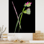 Pink Lotus Blume Zen Aquarellmalerei Poster (Küche)