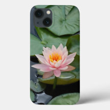 Pink Lotus Blume Zen Garden