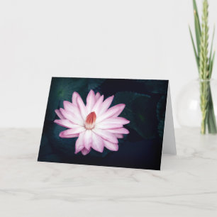 Pink Lotus Flower Greeting Cards Karte