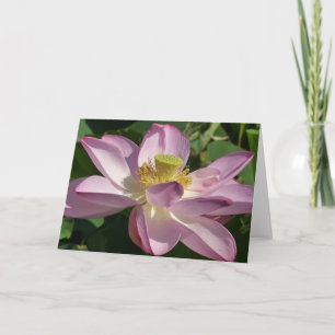 Pink Lotus Flower II Summer Floral Karte
