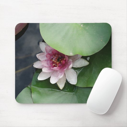Pink Lotus flwower Mousepad (Mit Mouse)