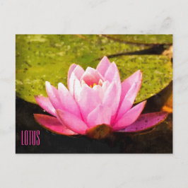 Pink Lotus Horizontale Postkarte