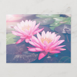 PINK LOTUS POSTCARD POSTKARTE