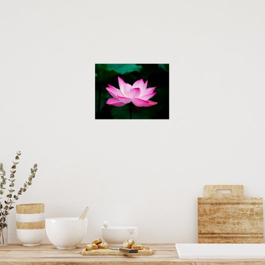 Pink Lotus Poster (Küche)