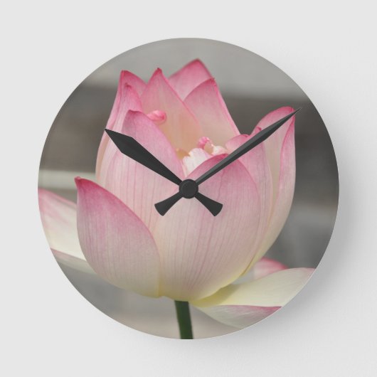 Pink Lotus Runde Wanduhr (Vorderseite)