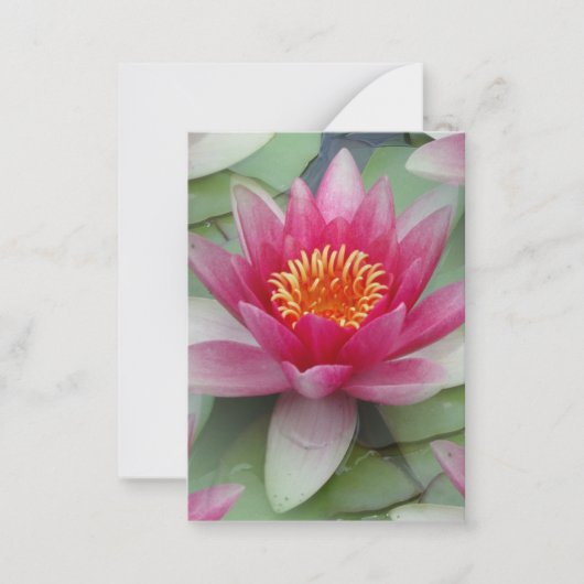 Pink Lotus Water Lift Flat Note Card Mitteilungskarte (Vorderseite)