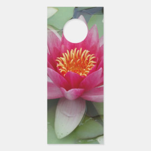 Pink Lotus Water Lily Door Hanger Türanhänger