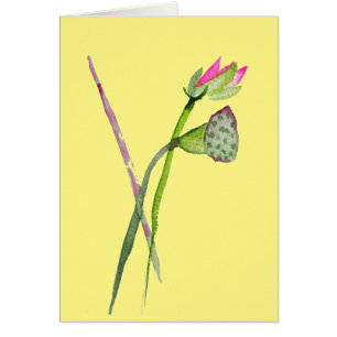 Pink Lotus Zen Blume Buddhistische Kunst