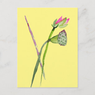 Pink Lotus Zen Blume Buddhistische Kunst Postkarte