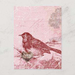 Pink Love Bird Postkarte