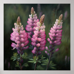 Pink Lupine Blume Art Print Poster