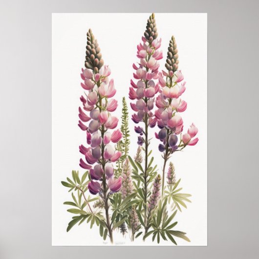 Pink Lupine Blume Art Print Poster (Vorne)