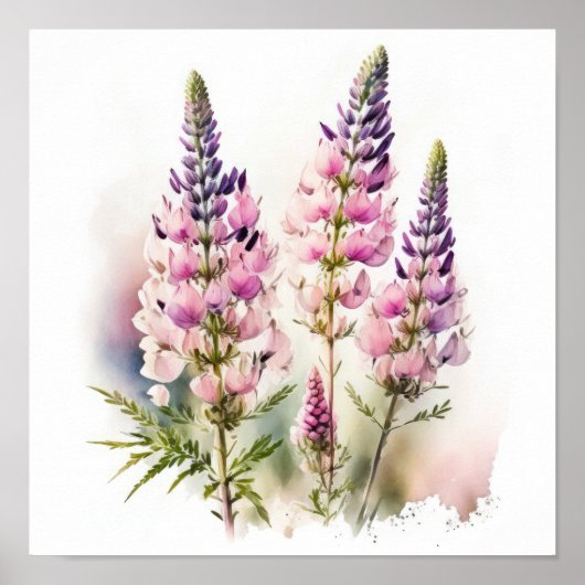 Pink Lupine Blume Art Print Poster (Vorne)