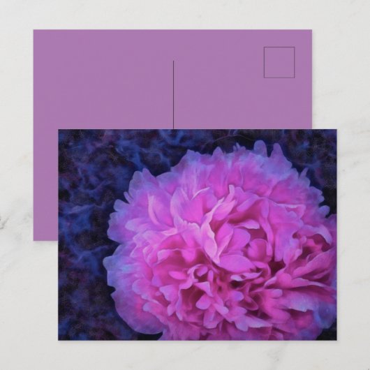 Pink Lush Peony Blume Postkarte (Vorne/Hinten)