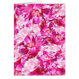 Pink & Magenta Peony Floral Pattern Blank