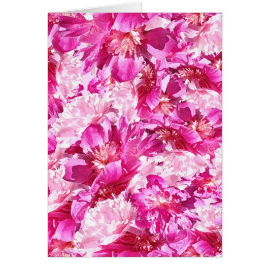 Pink & Magenta Peony Floral Pattern Blank (Vorne)