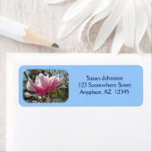 Pink Magnolia Bllossoms Blume (Insitu)