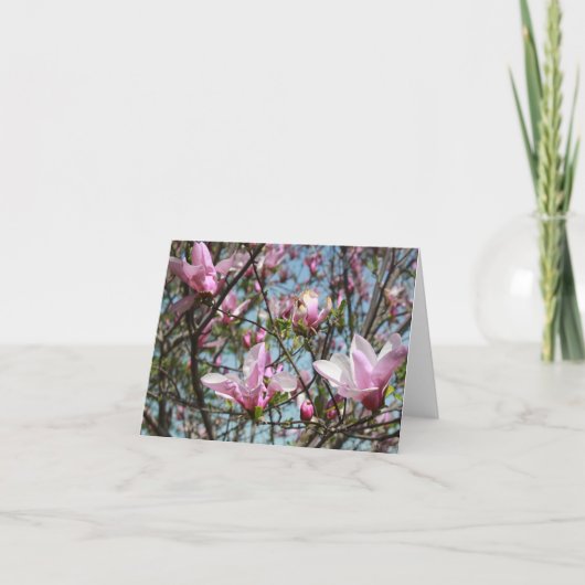 Pink Magnolia Blooms Feiertagskarte (Vorderseite)