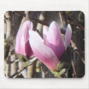 Pink Magnolia Blossom Mousepad