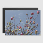 Pink Magnolia Buds Magnetkarte (Vorne/Hinten)