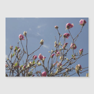 Pink Magnolia Buds Magnetkarte