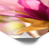 Pink Magnolia Fotodruck (Ecke)
