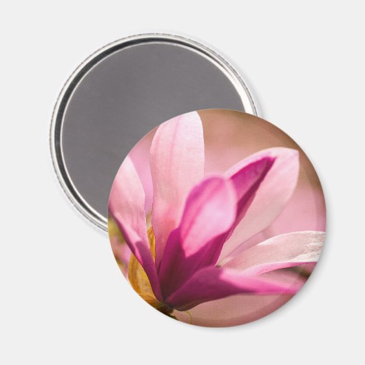 Pink Magnolia Magnet (Vorderseite/Rückseite)
