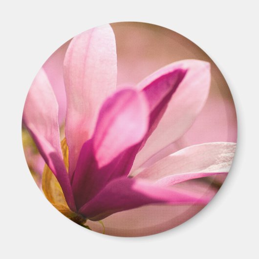 Pink Magnolia Magnet (Vorne)