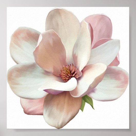 Pink Magnolia-Plakat Poster (Vorne)