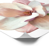 Pink Magnolia-Plakat Poster (Ecke)