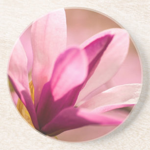 Pink Magnolia Sandstein Untersetzer